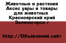 Животные и растения Аксесcуары и товары для животных. Красноярский край,Зеленогорск г.